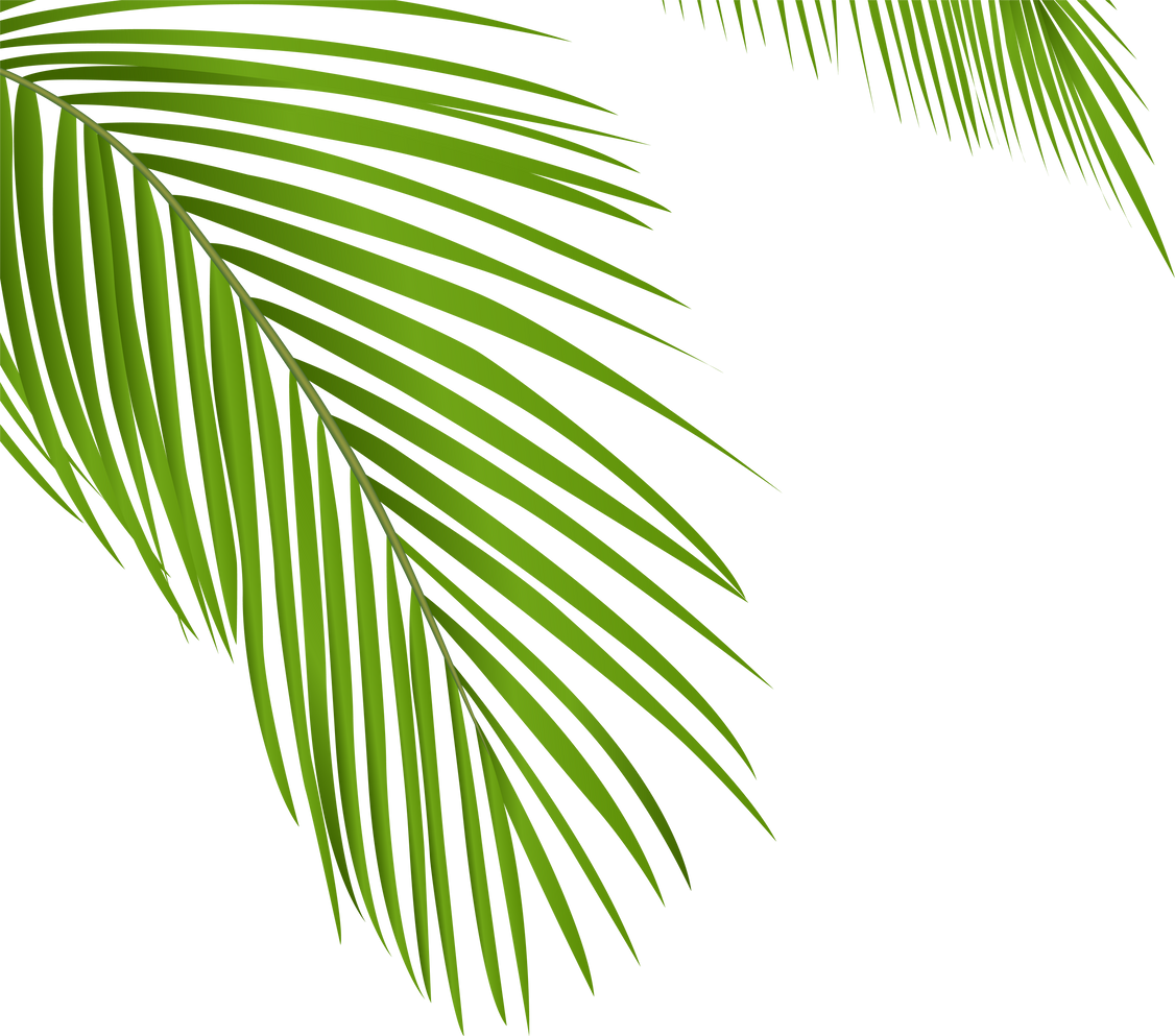 Summer coconut palm tree leaf coner decoration